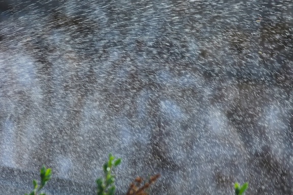 Waterdrops