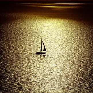 Sunny sailor