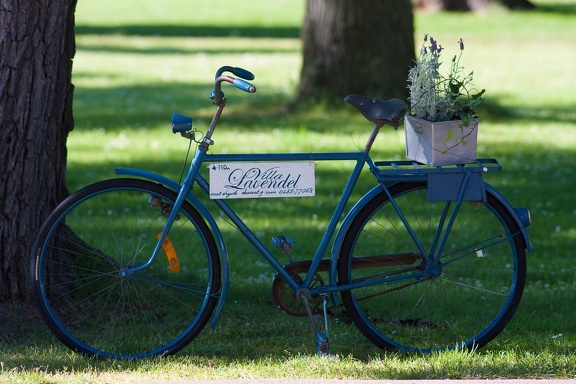Parked bike