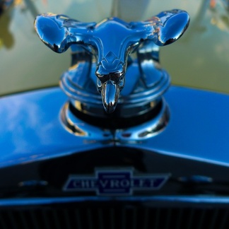 Chevy hood ornament