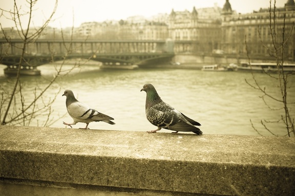 Walking along Seine river