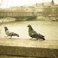 Walking along Seine river