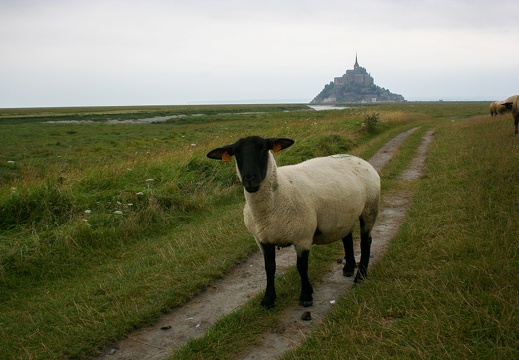 Le Mont-Saint-Michel