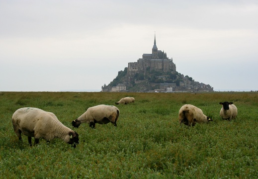 Le Mont-Saint-Michel