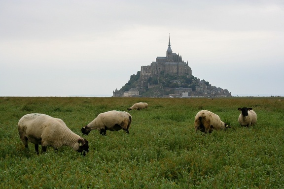 Le Mont-Saint-Michel