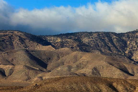 Mojave desert