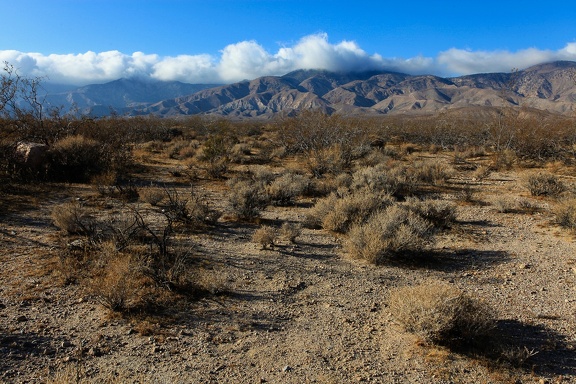 Mojave desert