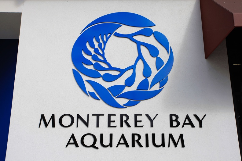 Monterey Bay Aquarium-2.jpg