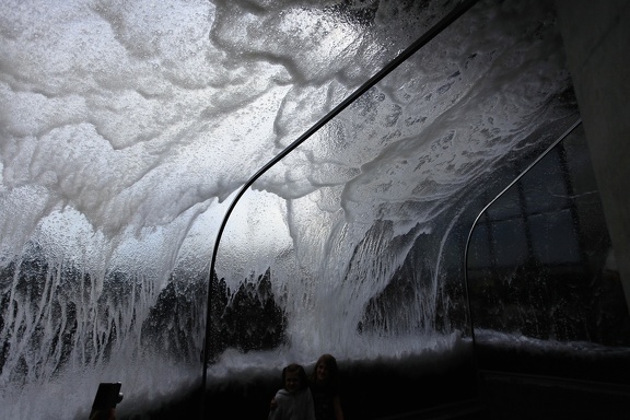 Monterey Bay Aquarium