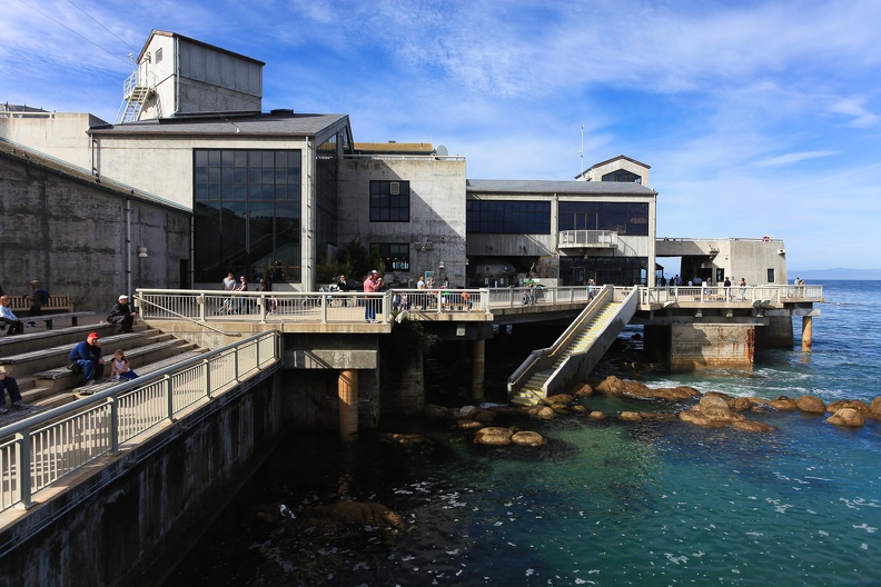 Monterey Bay Aquarium-10.jpg