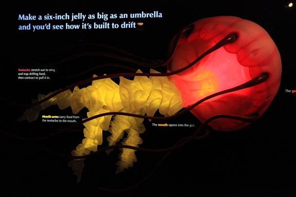 Monterey Bay Aquarium