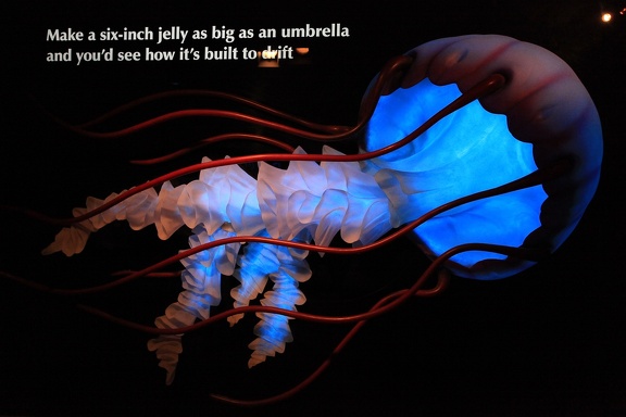 Monterey Bay Aquarium