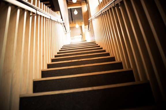 Step into the light