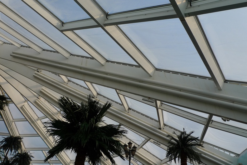 Palmtree inside glass.jpg