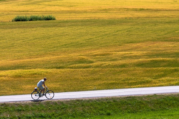 Lonely rider