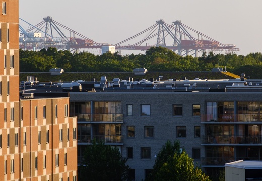 Houses & container terminal