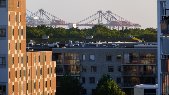 Houses & container terminal