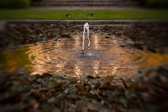 Golden fountain